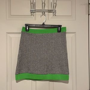 Zara Skirt Never Worn!  NWOT